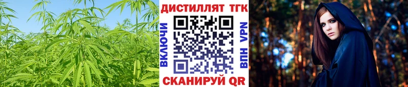 ТГК жижа  купить наркоту  KRAKEN ONION  Егорьевск 