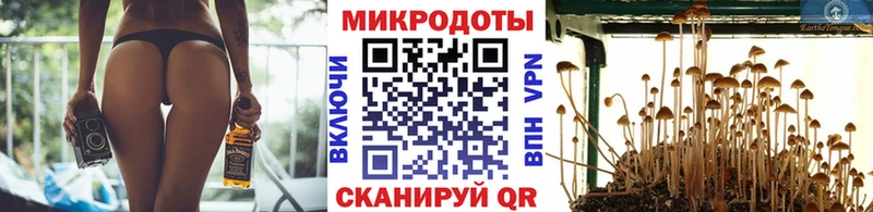 площадка формула  Егорьевск  Галлюциногенные грибы Psilocybe  как найти  