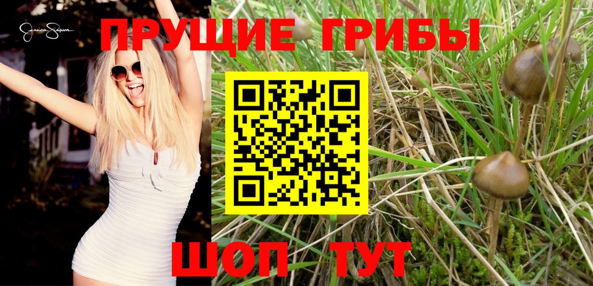 Галлюциногенные грибы MAGIC MUSHROOMS  Вход с VPN  Егорьевск 