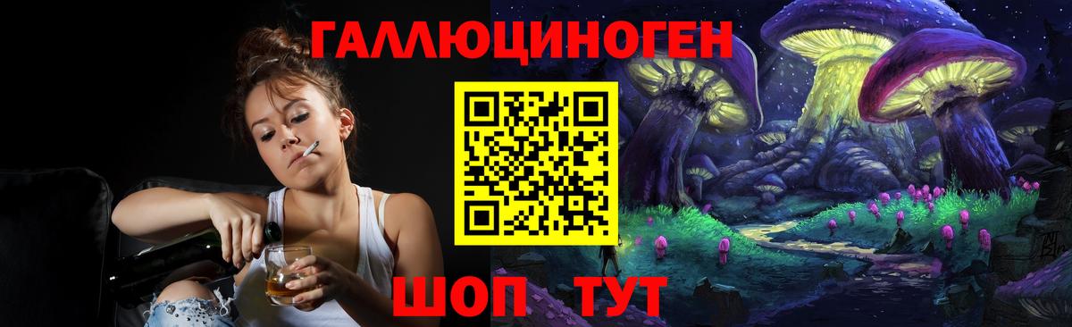 Галлюциногенные грибы Psilocybe Егорьевск