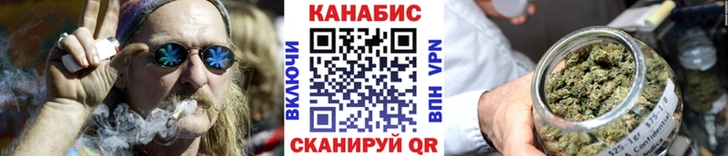 Бошки марихуана гибрид  купить наркотики цена  Егорьевск 